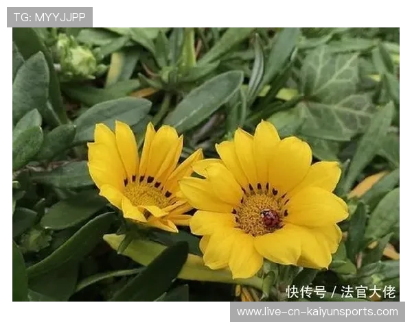 梁馨枰首谈人生感悟:旷野人生才是王道! 梁馨枰首谈人生感悟:旷野人生才是王道!